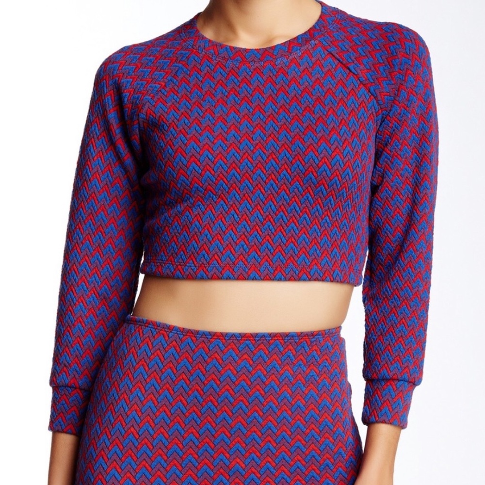 American Apparel long sleeve crop top with skirt